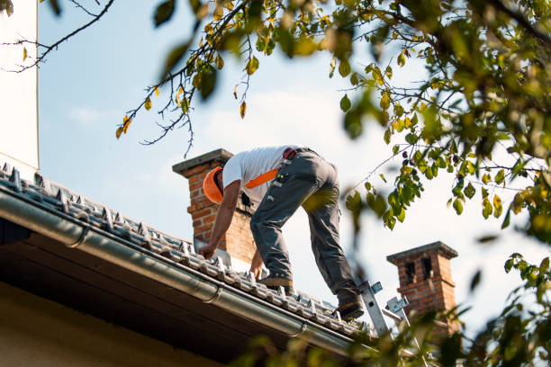 Sealant for Roof in Albia, IA
